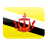 flag